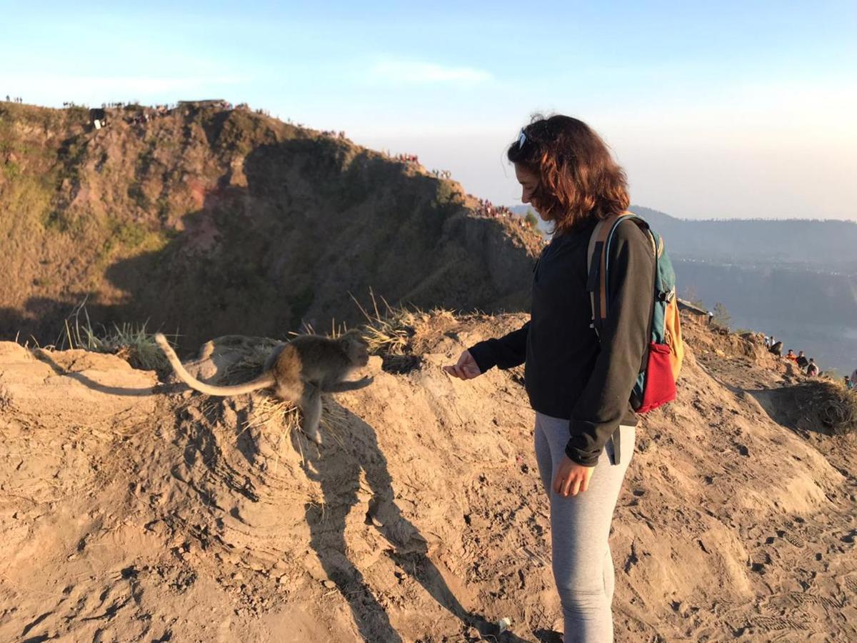 Batur Pyramid Guesthouse Kintamani エクステリア 写真